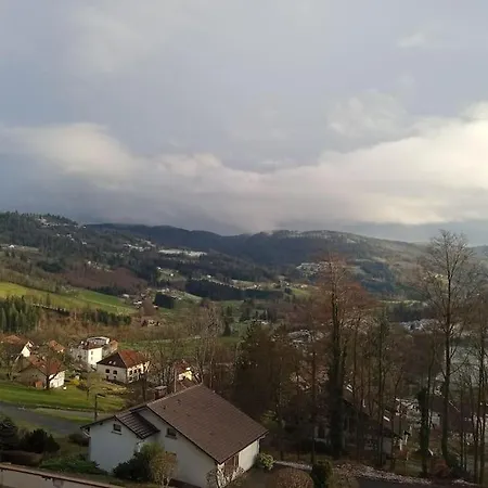 Duplex - Proche De Gerardmer Le Tholy