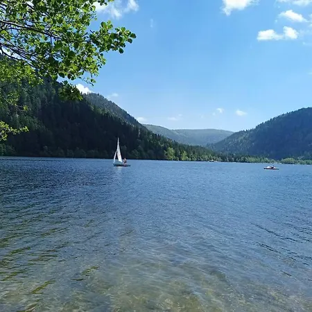 Duplex - Proche De Gerardmer