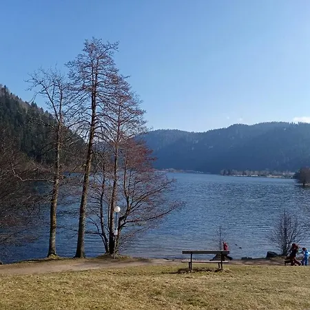 Apartment Duplex - Proche De Gerardmer