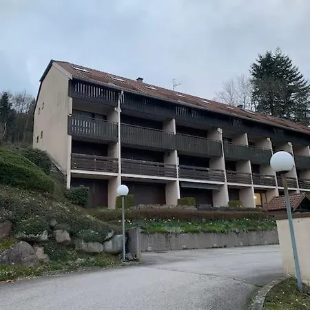 Duplex - Proche De Gérardmer *