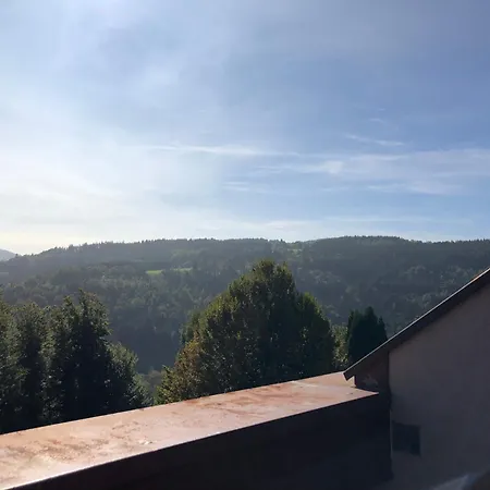 Apartment Duplex - Proche De Gerardmer *