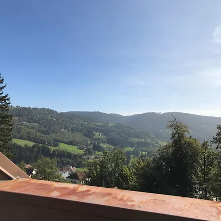 Duplex - Proche De Gérardmer