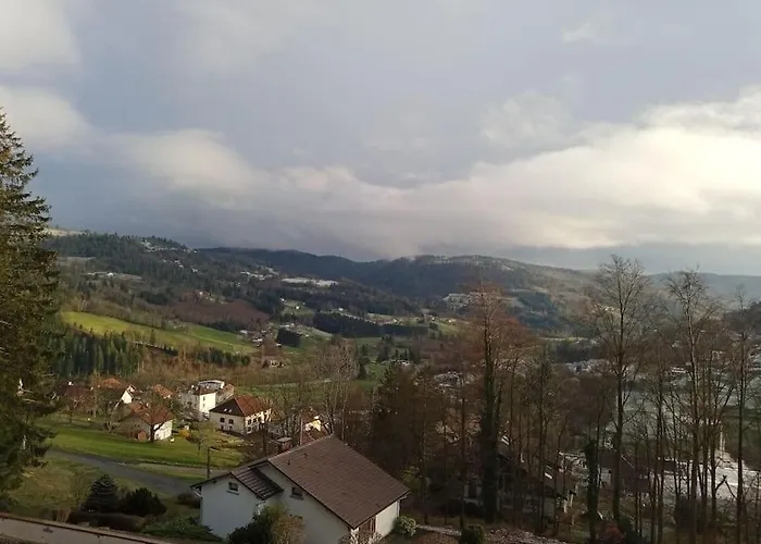 Duplex - Proche De Gerardmer 勒索里