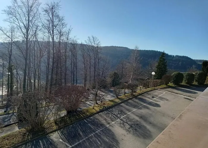 Duplex - Proche De Gérardmer *