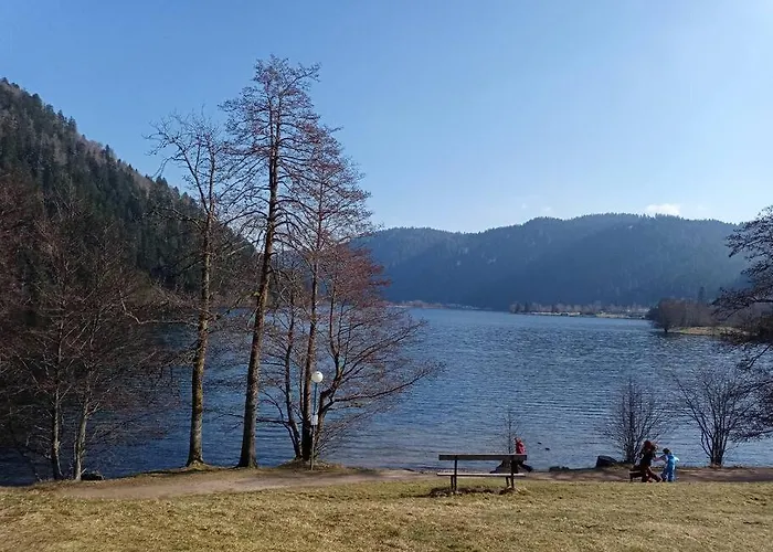 公寓 Duplex - Proche De Gerardmer