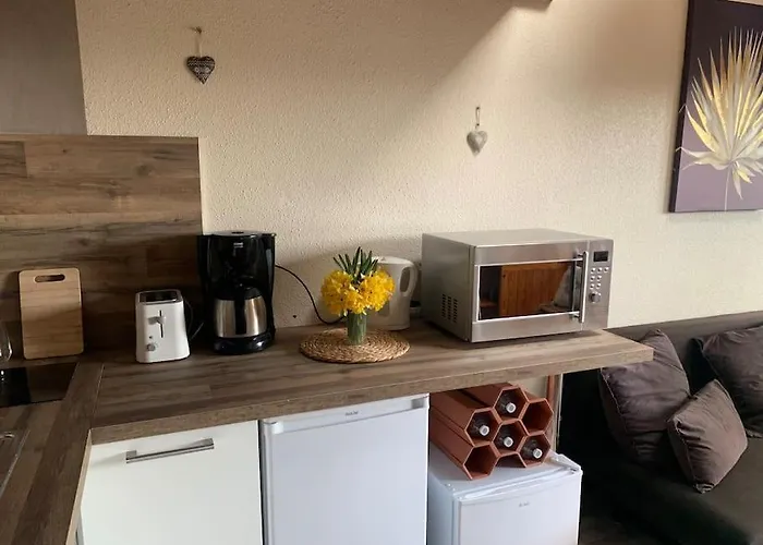 Duplex - Proche De Gerardmer 公寓 *