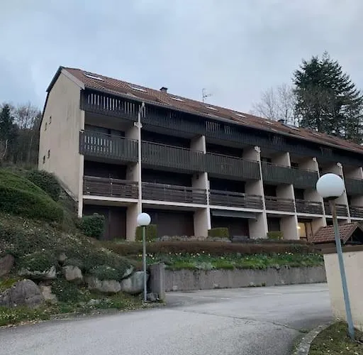 Duplex - Proche De Gerardmer *