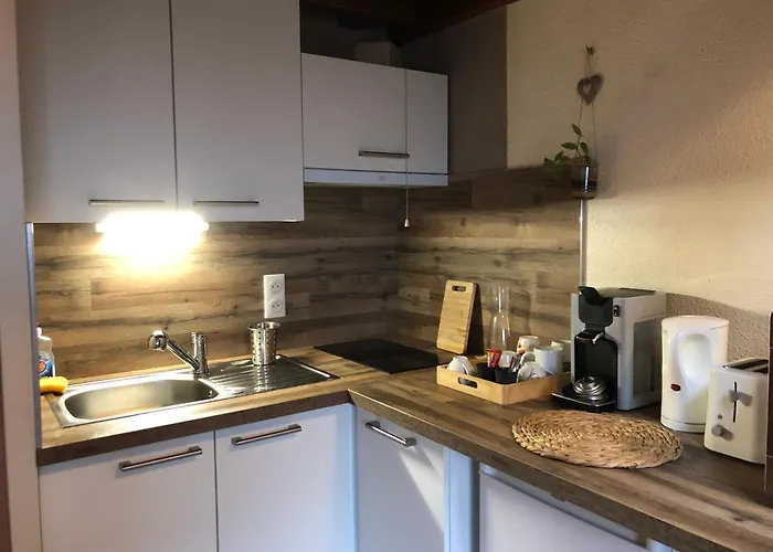 Duplex - Proche De Gerardmer 勒索里