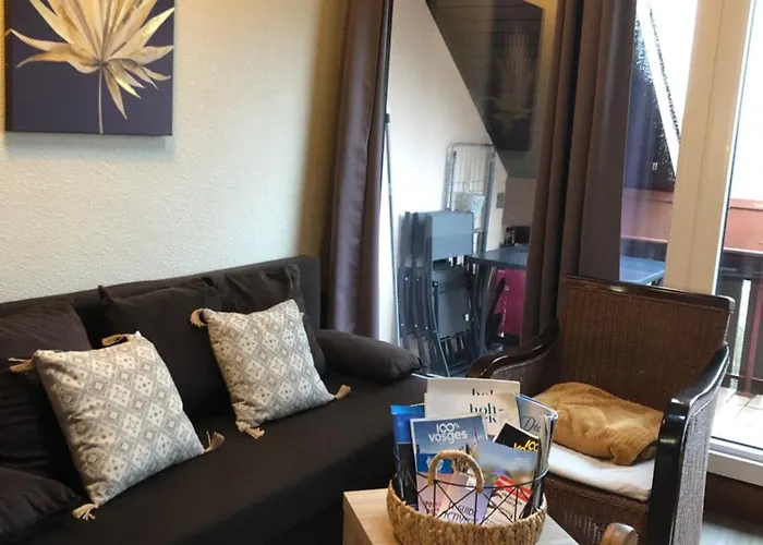 Duplex - Proche De Gerardmer 公寓