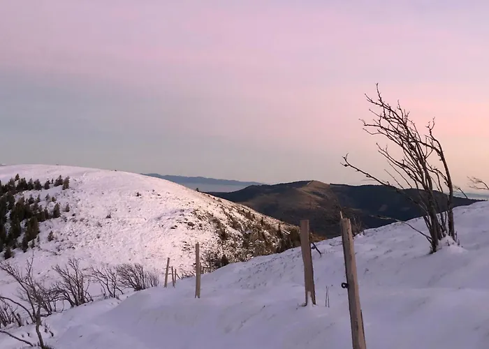 Duplex - Proche De Gerardmer * 勒索里