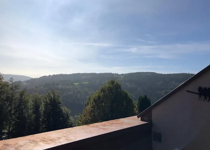 Apartment Duplex - Proche De Gerardmer *